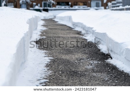 Similar – Image, Stock Photo Snowed in are paths, streams, bridges and forests. A pack of deer is looking for food and water.