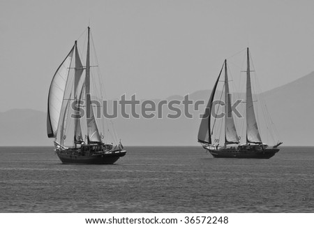 two black and white sailboat