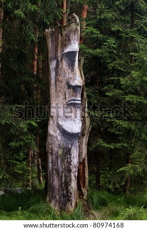 natural human face in an old trunk in the forest as a forest spirit