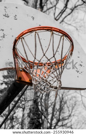 Isolated basketball hoop with net in vintage style