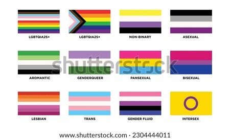 Queer - Rectangle - LGBTQ+ Rights Pride Flags non-binary asexual aromantic genderqueer pansexual bisexual lesbian trans gender fluid intersex