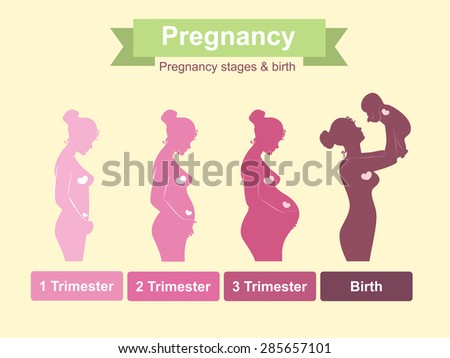 Pregnancy stages, trimesters and birth, pregnant woman and baby. Infographic elements