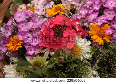 garden flowers, flower arrangements, flowers autumn garden, autumn flowers
