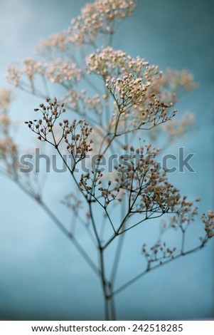Baby's Breath Artistic Blue and White