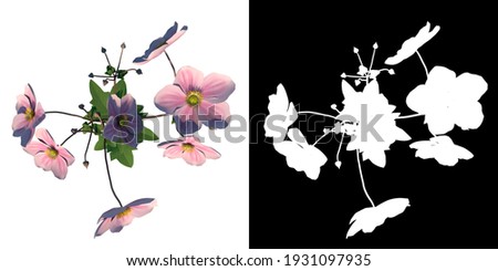 Similar – Image, Stock Photo vegetation Chinese Anemone
