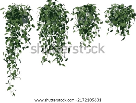Front view of Plant (Hanging Creepers Plants 1) Tree illustration vector	 Foto d'archivio © 