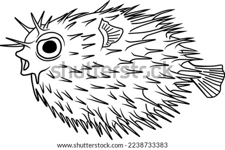 puffer fish line vector illustration isolated on white background