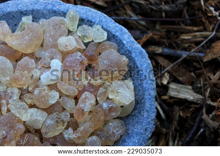 Arabic Gum Resin (gummi arabicum) Incense in tears in a stone bowl with a forest soil (bark mulch, leafs) background. Origins from Sudan.
