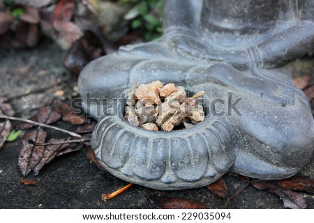 Myrrh tears (myrrhae gummi from kenia) in tears / drops ritual offering in a bowl with the indian god buddha with brown fall / autumn leaves