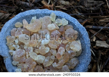 Arabic Gum Resin (gummi arabicum) Incense in tears in a stone bowl with a forest soil (bark mulch, leafs) background. Origins from Sudan. Closeup.