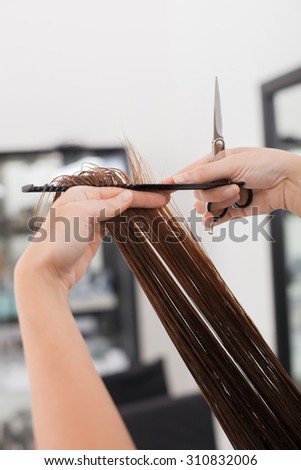 Close up of hands of hairstylist cutting female wet hair. The woman is holding scissors and a comb