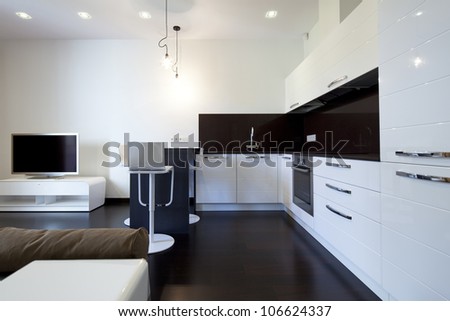 Interior designer living room with kitchen