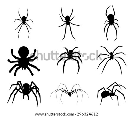 Spider web vector art
