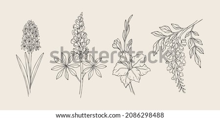 Hand drawn hyacinth, lupine, gladiolus, wisteria