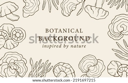 Hand drawn mushrooms background. Shiitake, turkey tail, cordyceps, reishi