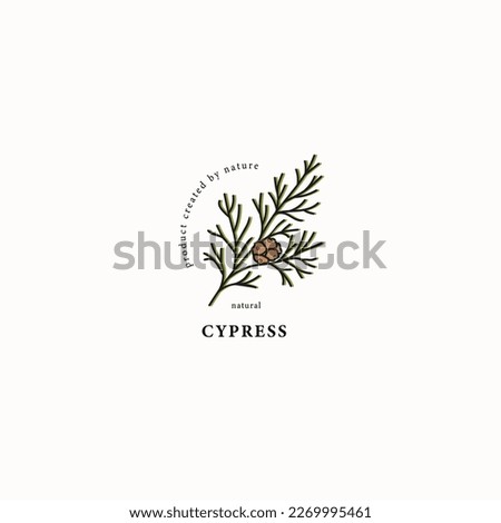 Line art cypress branch drawing
