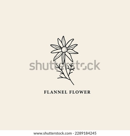 Line art flannel flower illustration