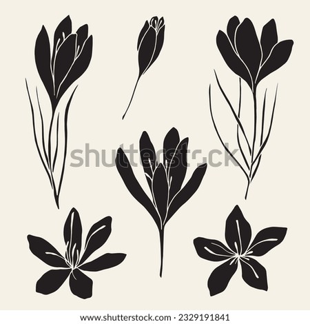 Flat vector saffron flowers set