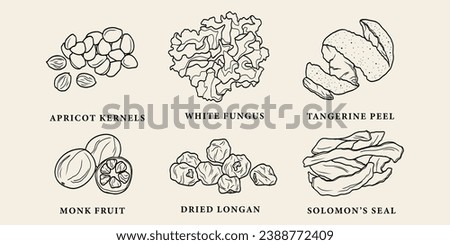 Line art apricot kernels, white fungus, tangerine peel, monk fruit,  longan, Solomon's seal