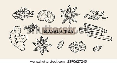 Line art masala tea spices illustration