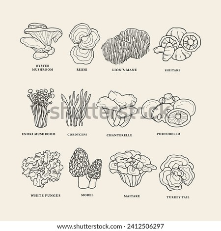 Collection of line art edible mushrooms