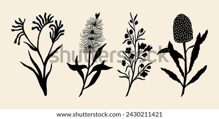 Flat vector kangaroo paw, bottlebrush, boronia, banksia. Australian native flowers