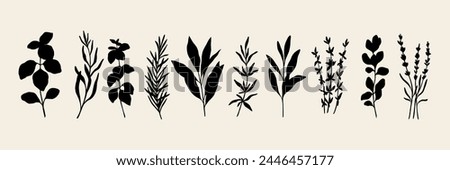 Flat vector herbs. Silhouette spices collection