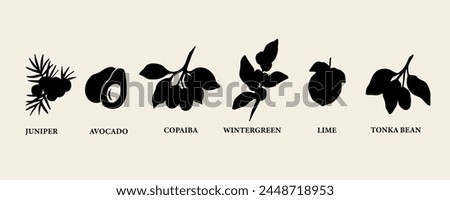 Set of flat vector essential oil plants