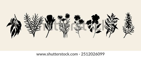 Flat vector Australian native flowers and plants collection