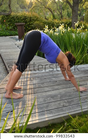 Woman doing yoga in the evening/Evening Yoga/Young Hispanic woman in various yoga postures