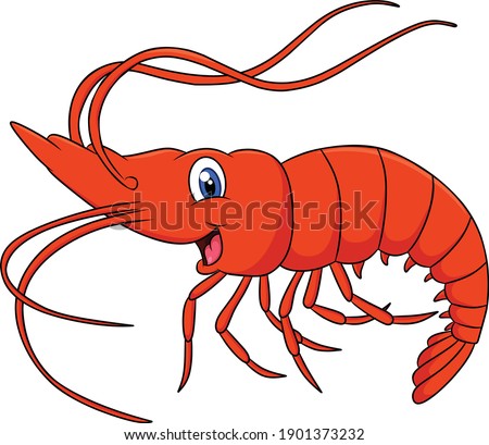 Cute Shrimp animal cartoon illustration