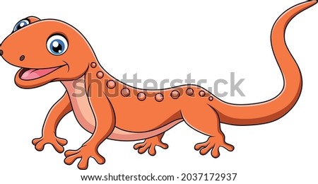 Cute Newts cartoon vector illustration