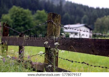 Similar – Image, Stock Photo Landscape photograph of an empty street surrounded by trees and crash barriers in autumn