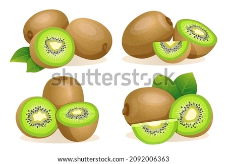 Set of fresh kiwi fruit whole, half and cut slice illustration isolated on white background