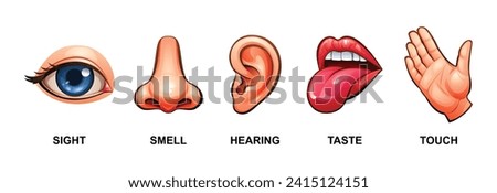 Set of five human senses. Sight, smell, hearing, taste and touch. Vector illustration