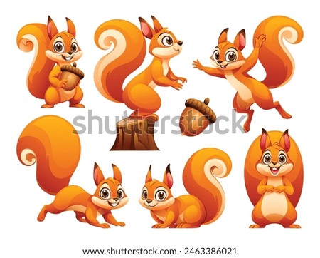 Set of squirrel in various poses. Vector cartoon illustration