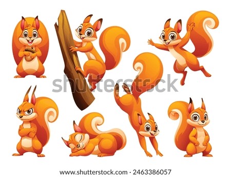 Set of squirrel in different poses. Vector cartoon illustration