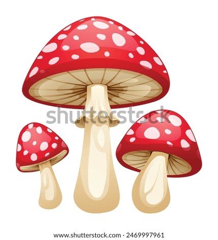 Red mushrooms vector illustration isolated on white background