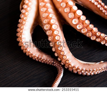 Boiled tentacles of octopus close-up. Shallow depth of field, focus on the middle tentacles