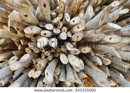Pile of wood stick.