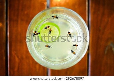 Bees had death in honey lemon tea cup