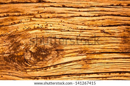 Old Grunge Rotten Wood Background