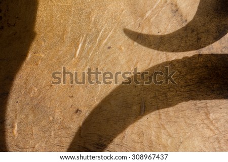 horn shadow on animal leather