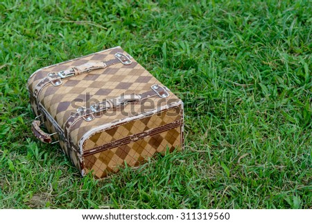 Stylish leather monster like bag on the green grass in the park (forest). Shiny weather. Outdoor shot