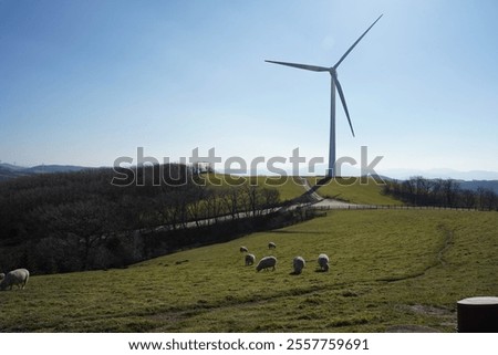 Similar – Image, Stock Photo huge wind turbine from frog perspective in front of blue sky