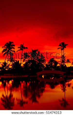 Orange and red sunset over sea beach with palms Dominican republic