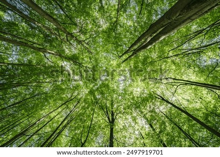 Similar – Image, Stock Photo Breathtaking view of green hill and river