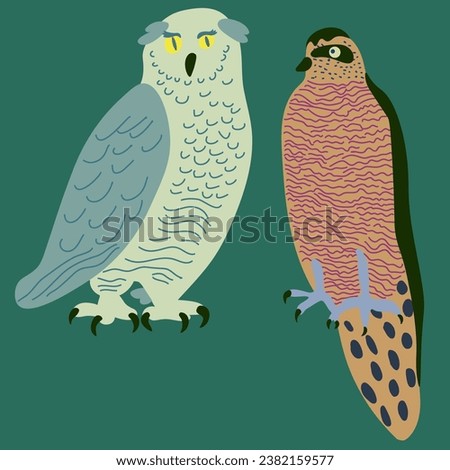 gray owl and falcon in vector. wild animal in flat style. Template for poster logo icon for app website. Series of animal images in flat style