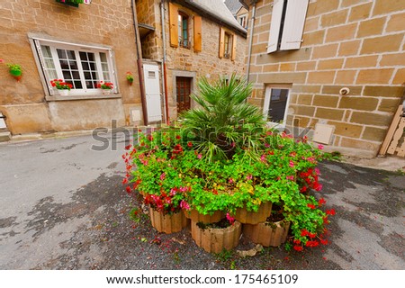 Flowerbed on a Street of the French City