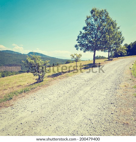 Winding Dirt Road in the Tuscany, Italy, Instagram Effect